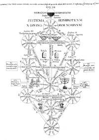 The Tree of Life from Athanasius Kircher�s Oedipus Aegypiacus